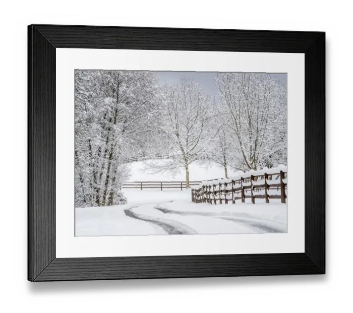 Framed Print : USA, Washington State, Fall City, fresh snow on trees and fence and snow covered road Framed Print : USA, Washington State, Fall City, fresh snow on trees and fence and snow covered road