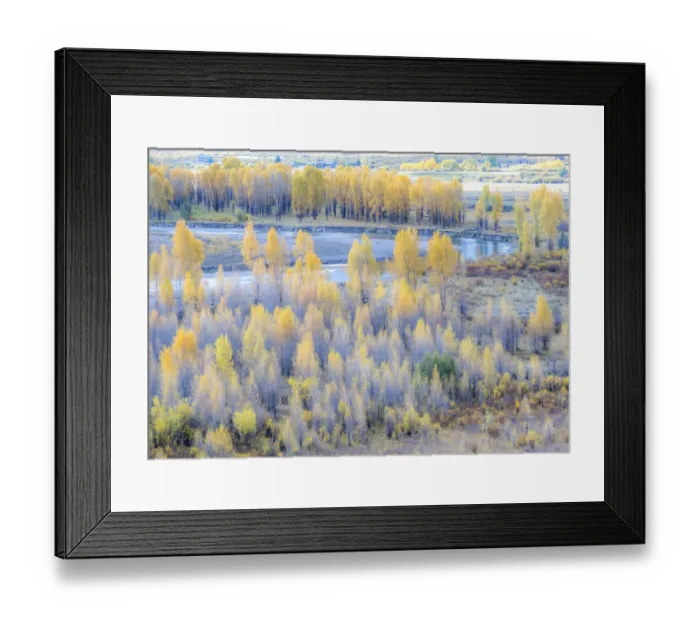Framed Print : USA, Wyoming, Buffalo Fork River and Cottonwoods in fall color Framed Print : USA, Wyoming, Buffalo Fork River and Cottonwoods in fall color