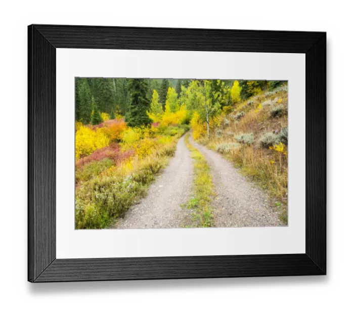Framed Print : USA, Wyoming, Hoback fall colors along Highway 89 and gravel road, with Dogwood, Willow