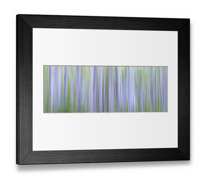 Framed Print : USA, Washington State, Seabeck. Panoramic abstract of alder grove Framed Print : USA, Washington State, Seabeck. Panoramic abstract of alder grove
