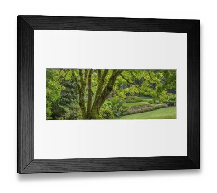 Framed Print : USA, Washington State, Bainbridge Island. Panoramic of garden