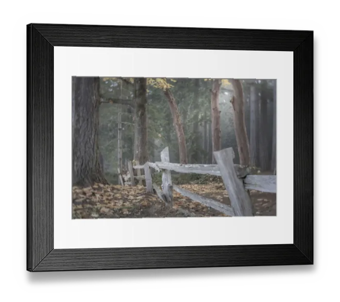 Framed Print : USA, Washington State, Seabeck. Split-rail fence and forest Framed Print : USA, Washington State, Seabeck. Split-rail fence and forest
