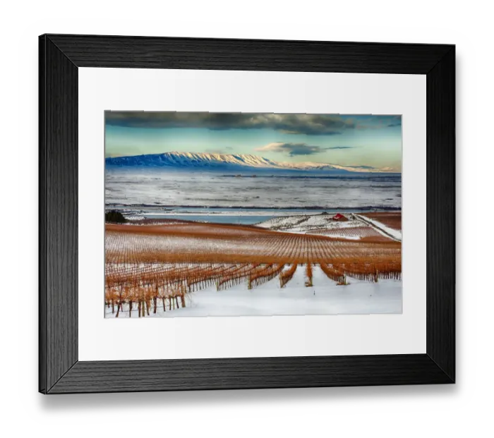 Framed Print : USA, Washington State, Pasco. Winter on Sagemoor Vineyard with the Columbia River