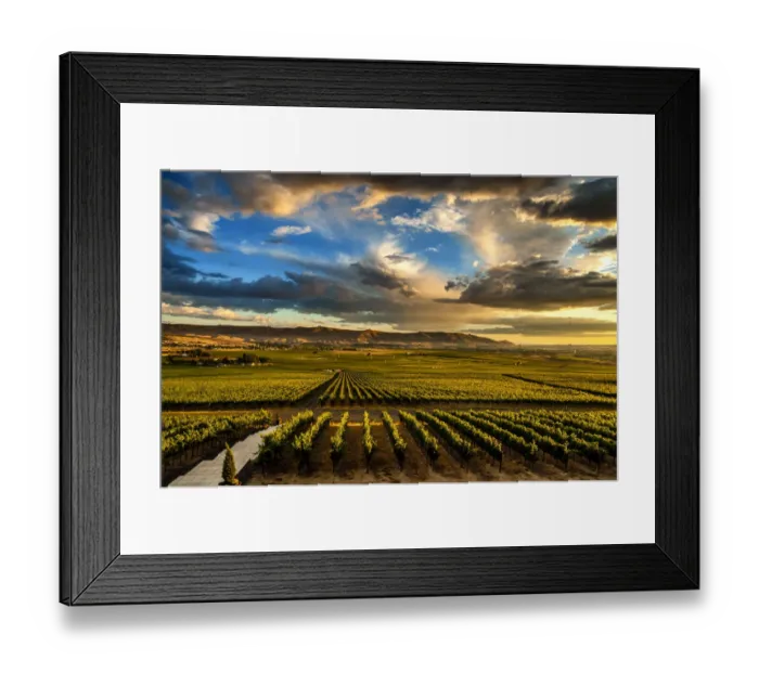 Framed Print : USA, Washington State, Red Mountain. Red Mountain vineyards at dusk with dramatic sky Framed Print : USA, Washington State, Red Mountain. Red Mountain vineyards at dusk with dramatic sky