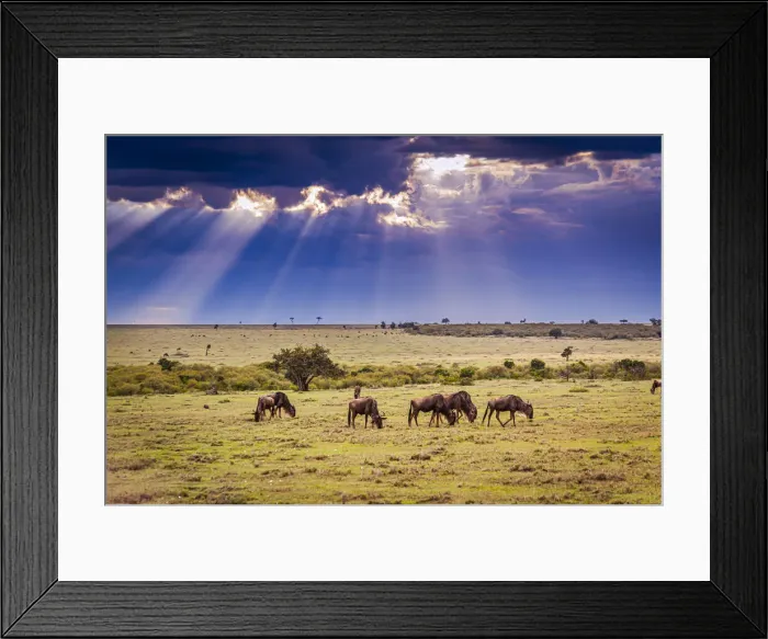 Framed Print : Clouds with sun rays streaming down on Masai Mara in Kenya, Africa