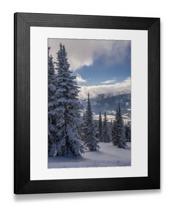 Framed Print : Revelstoke British Columbia, Canada, Snow covered evergreen trees