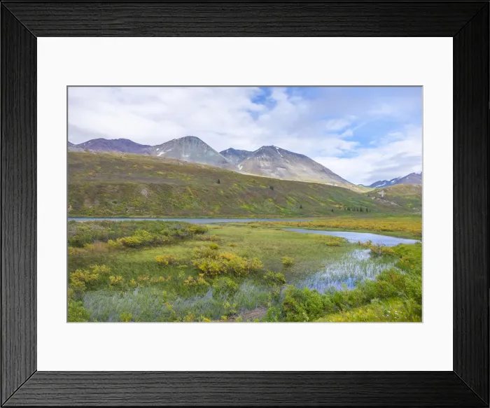Framed Print : Canada, British Columbia, Scenic view of marsh and mountains on the Haines Highway Framed Print : Canada, British Columbia, Scenic view of marsh and mountains on the Haines Highway