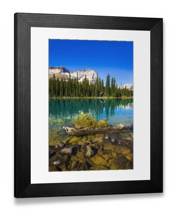 Framed Print : Mount Odaray above Lake O hara, Yoho National Park, British Columbia, Canada