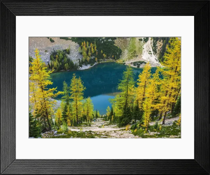 Framed Print : Fall larch trees and hikers on trail above Lake Agness, Banff National Park, Alberta Framed Print : Fall larch trees and hikers on trail above Lake Agness, Banff National Park, Alberta