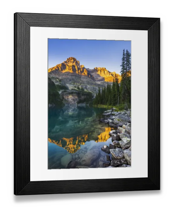Framed Print : Evening light on Mount Huber above Lake O hara, Yoho National Park, British Columbia Framed Print : Evening light on Mount Huber above Lake O hara, Yoho National Park, British Columbia