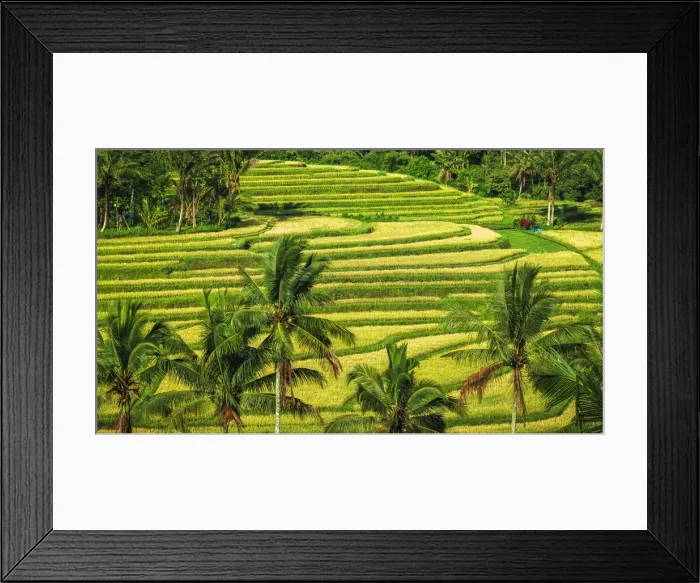 Framed Print : Jatiluwih Rice Terrace (UNESCO World Heritage Site), Bali, Indonesia Framed Print : Jatiluwih Rice Terrace (UNESCO World Heritage Site), Bali, Indonesia