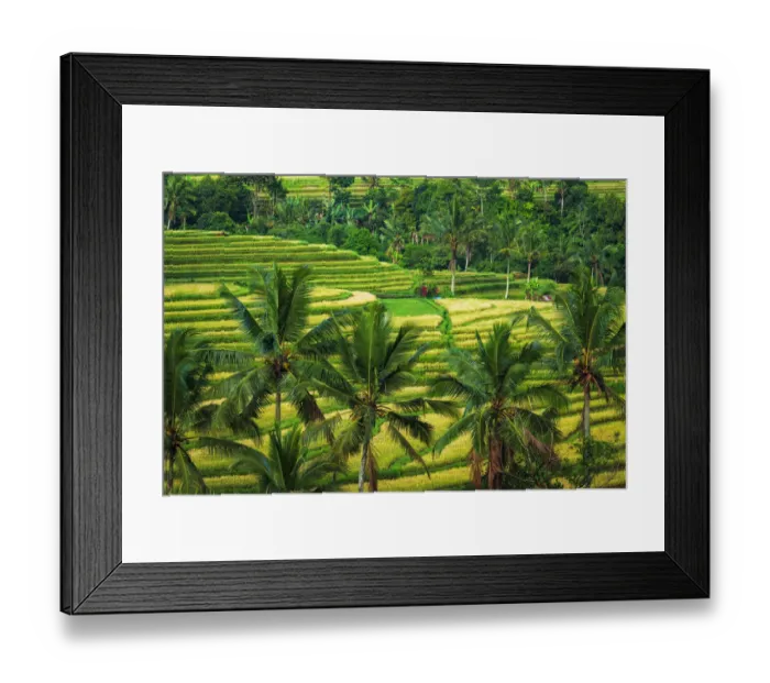 Framed Print : Jatiluwih Rice Terrace (UNESCO World Heritage Site), Bali, Indonesia Framed Print : Jatiluwih Rice Terrace (UNESCO World Heritage Site), Bali, Indonesia