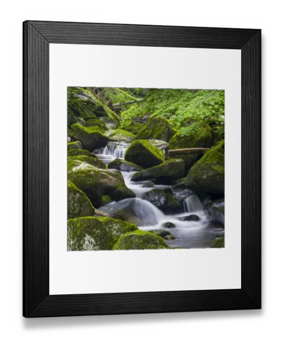 Framed Print : Valley of river Wolfsteiner Ohe (Buchberger Leite) in the Bavarian Forest Framed Print : Valley of river Wolfsteiner Ohe (Buchberger Leite) in the Bavarian Forest