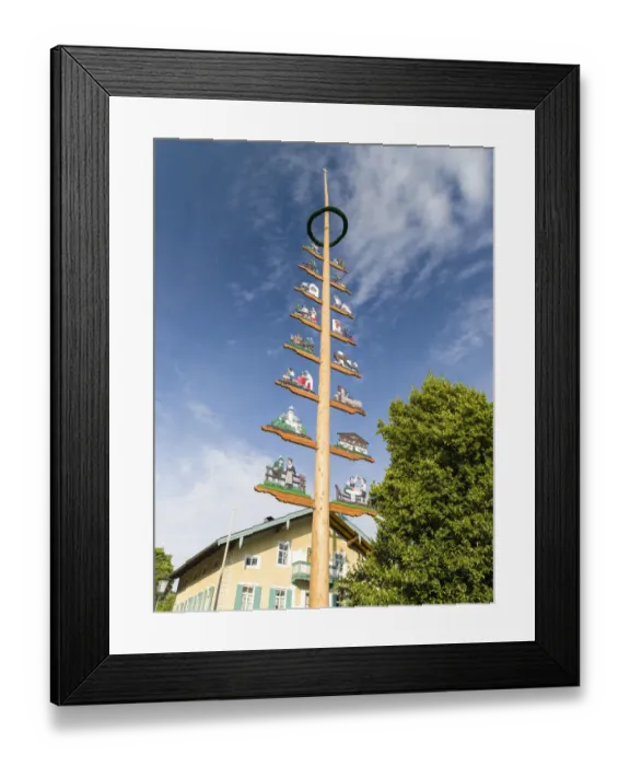 Framed Print : Traditional Bavarian maypole (Maibaum). Village Sachrang in the Chiemgau in the Bavarian Framed Print : Traditional Bavarian maypole (Maibaum). Village Sachrang in the Chiemgau in the Bavarian