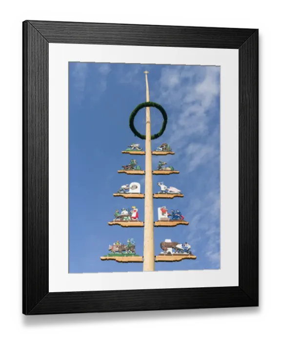 Framed Print : Traditional Bavarian maypole (Maibaum). Village Sachrang in the Chiemgau in the Bavarian Framed Print : Traditional Bavarian maypole (Maibaum). Village Sachrang in the Chiemgau in the Bavarian