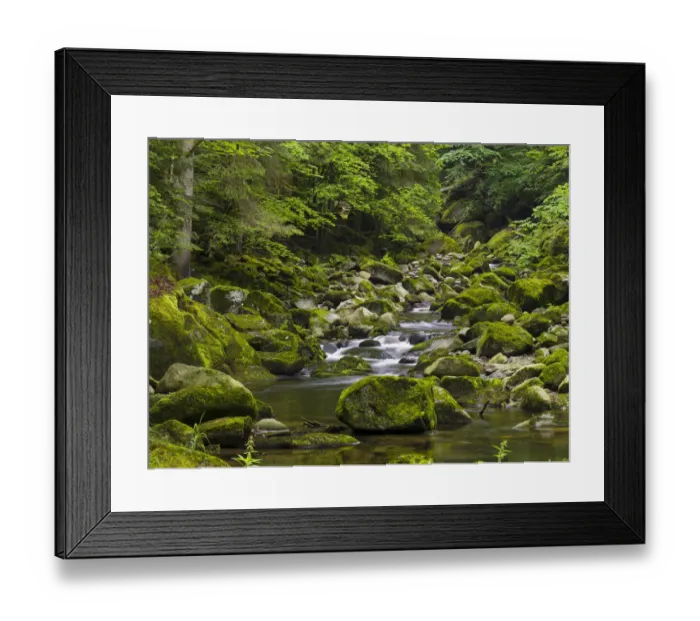 Framed Print : Valley of river Wolfsteiner Ohe (Buchberger Leite) in the Bavarian Forest