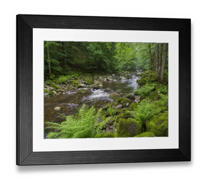 Framed Print : Valley of river Wolfsteiner Ohe (Buchberger Leite) in the Bavarian Forest