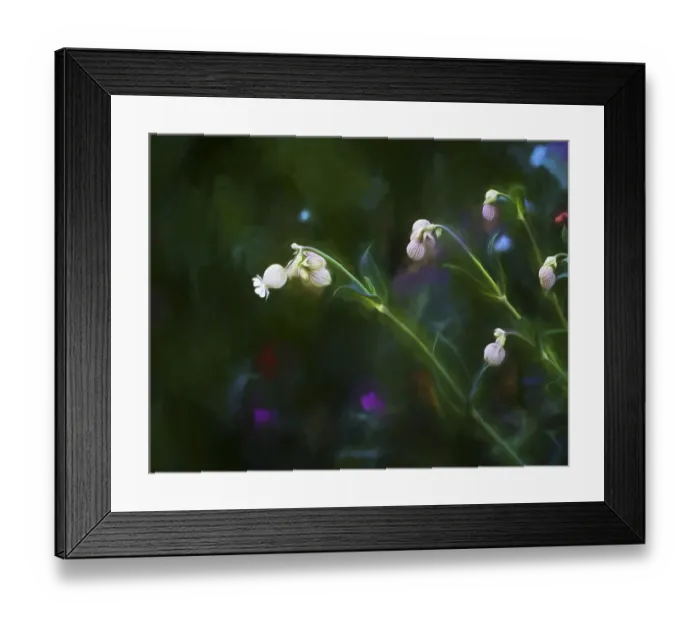 Framed Print : Painting rendition of wildflowers in spring Framed Print : Painting rendition of wildflowers in spring