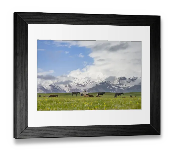 Framed Print : Traditional yurt the Transalai mountains in the background Framed Print : Traditional yurt the Transalai mountains in the background
