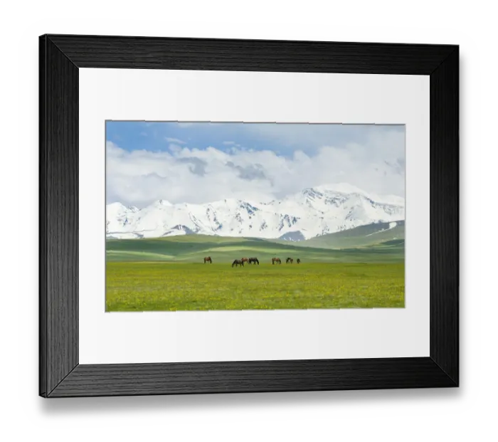 Framed Print : The Alaj valley with the Transalai mountains in the background. The Pamir Mountains Framed Print : The Alaj valley with the Transalai mountains in the background. The Pamir Mountains