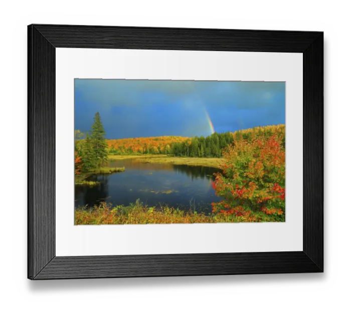 Framed Print : Canada, Ontario. Rainbow over wetland in autumn Framed Print : Canada, Ontario. Rainbow over wetland in autumn