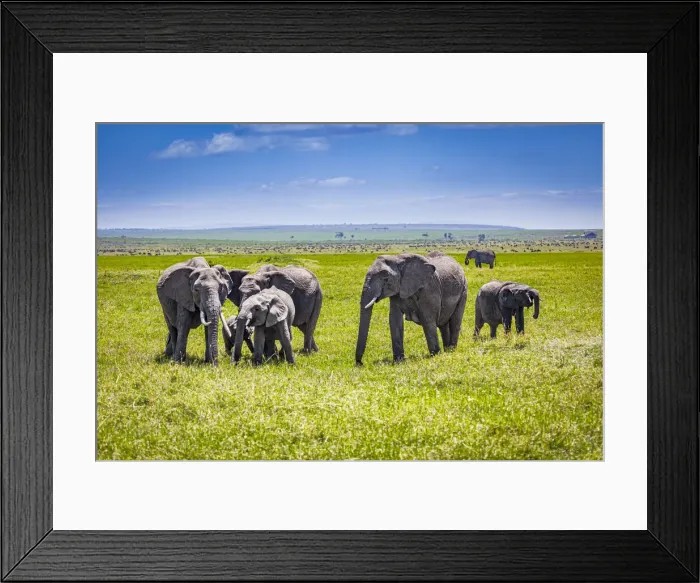 Framed Print : Elephants on the Masai Mara