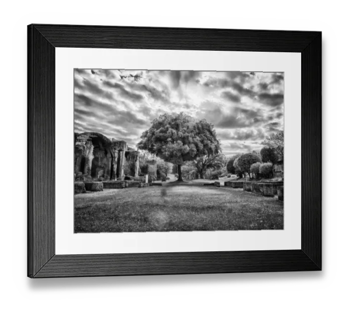 Framed Print : Italy, Puglia, Tivoli. Tree in the Villa Adriana