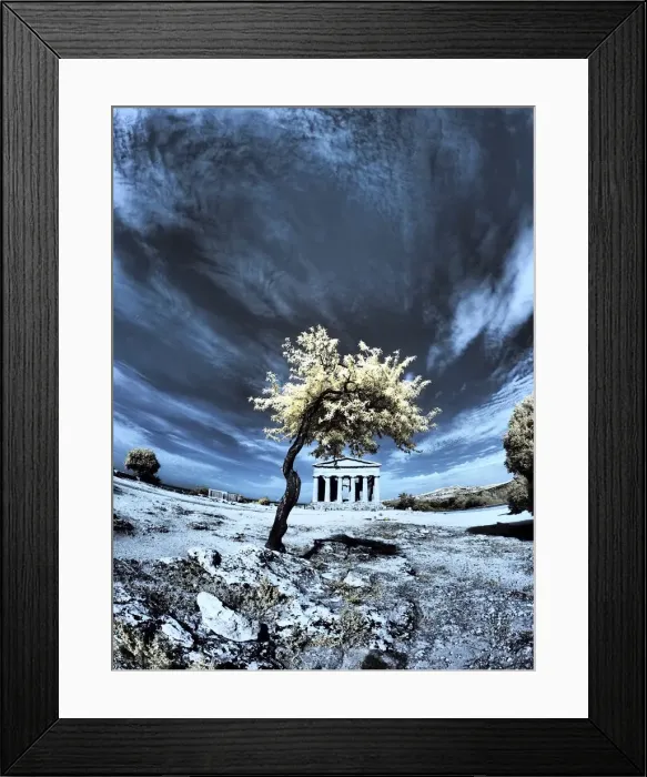 Framed Print : Italy, Sicily, Agrigento. Lone tree with the ruins of Agrigento