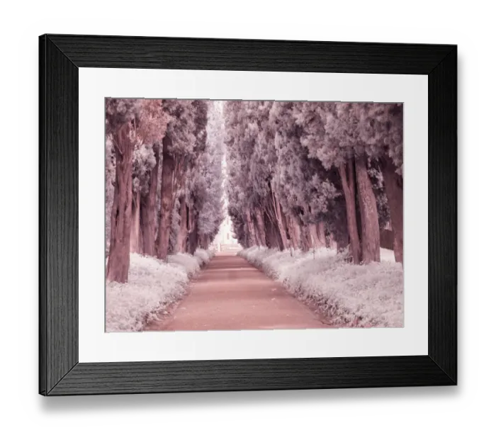 Framed Print : Italy, Puglia, Tivoli. Tree lined road, Villa Adriana Framed Print : Italy, Puglia, Tivoli. Tree lined road, Villa Adriana