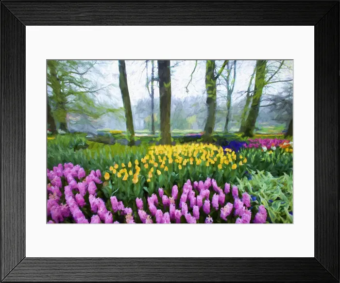 Framed Print : Europe, Holland, Lisse. Abstract of Keukenhof Gardens