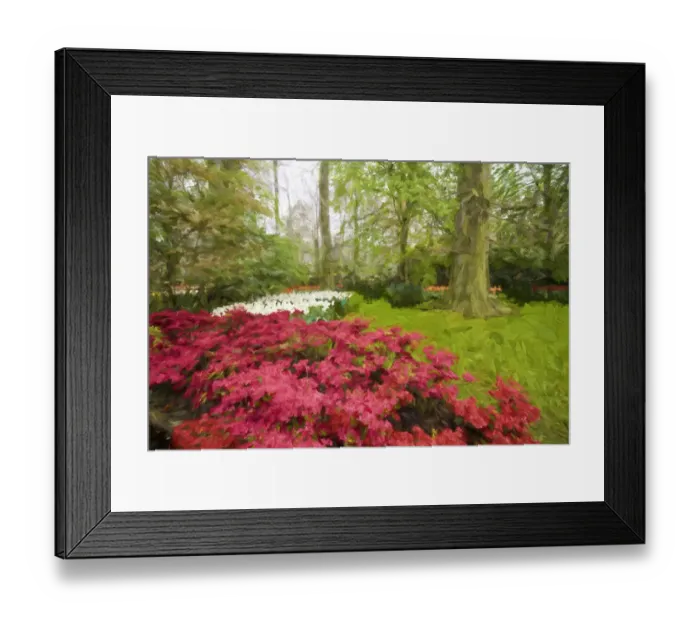 Framed Print : Europe, Holland, Lisse. Abstract of Keukenhof Gardens