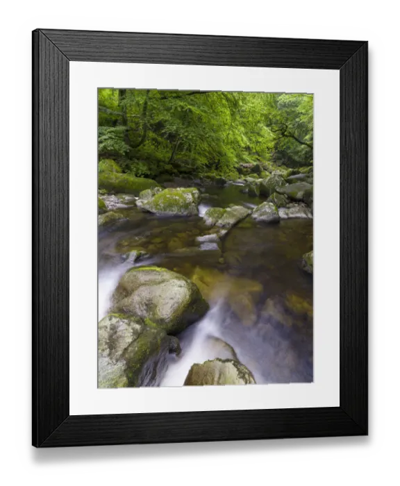 Framed Print : Valley of river Wolfsteiner Ohe (Buchberger Leite) in the Bavarian Forest