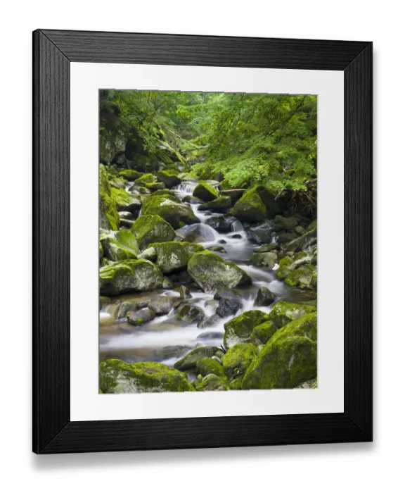 Framed Print : Valley of river Wolfsteiner Ohe (Buchberger Leite) in the Bavarian Forest