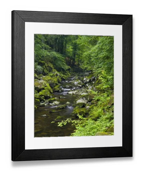 Framed Print : Valley of river Wolfsteiner Ohe (Buchberger Leite) in the Bavarian Forest