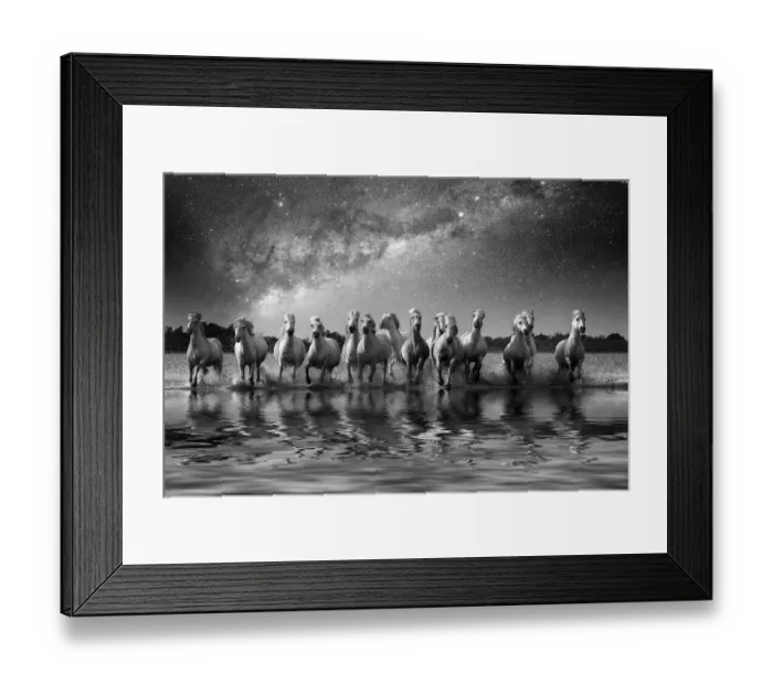 Framed Print : Europe, France, Provence, Camargue. Composite of Milky Way Framed Print : Europe, France, Provence, Camargue. Composite of Milky Way