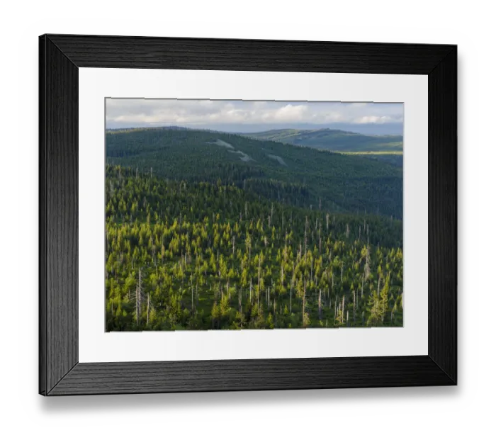Framed Print : View from the peak of Mt. Lusen in the National Park Bavarian Forest (NP Bayerischer Wald Framed Print : View from the peak of Mt. Lusen in the National Park Bavarian Forest (NP Bayerischer Wald