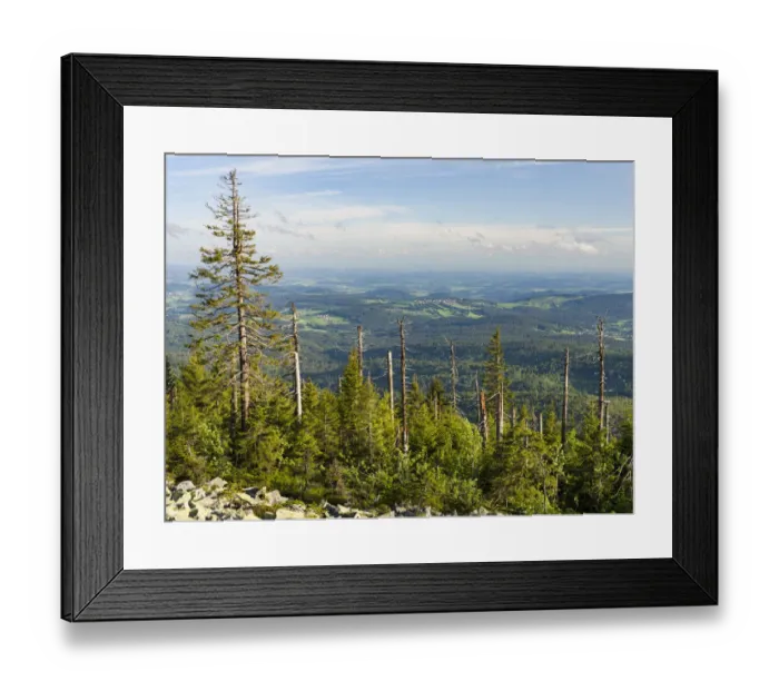 Framed Print : View from the peak of Mt. Lusen in the National Park Bavarian Forest (NP Bayerischer Wald Framed Print : View from the peak of Mt. Lusen in the National Park Bavarian Forest (NP Bayerischer Wald