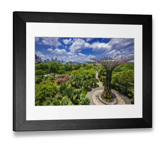 Framed Print : The Supertree Grove and downtown skyline from the OCBC Skyway at Gardens by the Bay Framed Print : The Supertree Grove and downtown skyline from the OCBC Skyway at Gardens by the Bay