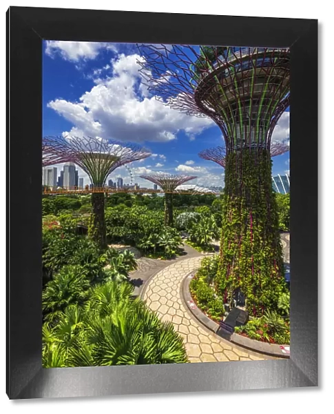 The Supertree Grove from the OCBC Skyway at Gardens by the Bay, Singapore