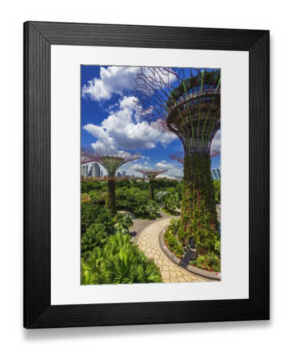 Framed Print : The Supertree Grove from the OCBC Skyway at Gardens by the Bay, Singapore Framed Print : The Supertree Grove from the OCBC Skyway at Gardens by the Bay, Singapore