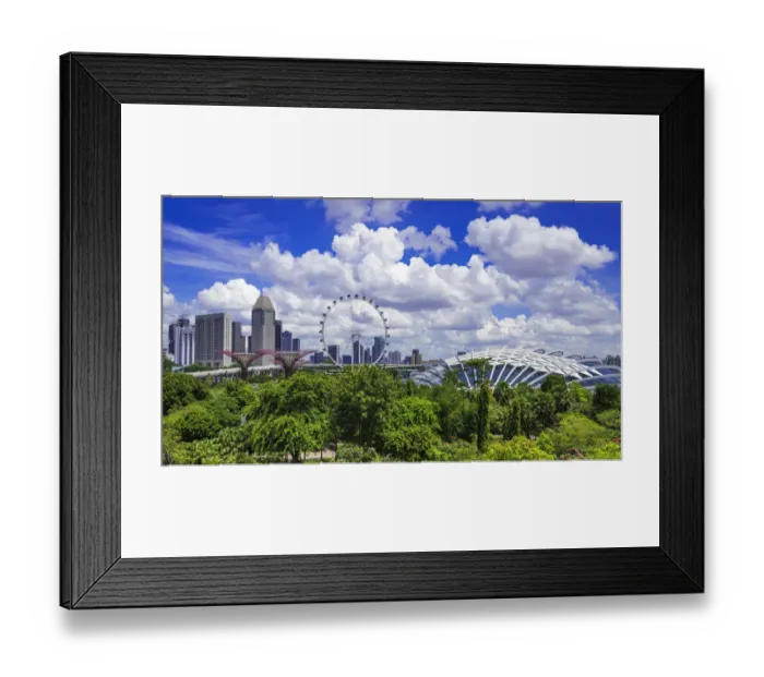 Framed Print : The Singapore Flyer and Flower Dome from the OCBC Skyway, Gardens by the Bay, Singapore Framed Print : The Singapore Flyer and Flower Dome from the OCBC Skyway, Gardens by the Bay, Singapore