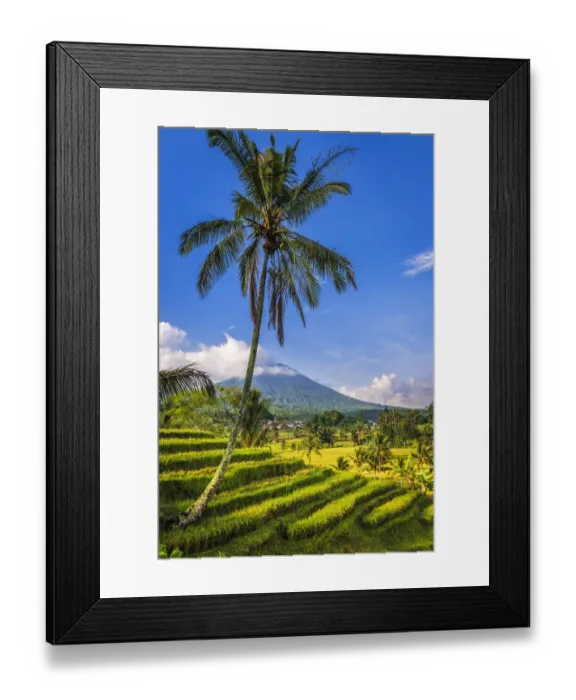 Framed Print : Jatiluwih Rice Terrace (UNESCO World Heritage Site), Bali, Indonesia Framed Print : Jatiluwih Rice Terrace (UNESCO World Heritage Site), Bali, Indonesia