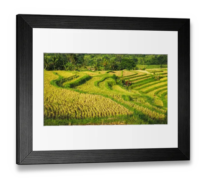 Framed Print : Jatiluwih Rice Terrace (UNESCO World Heritage Site), Bali, Indonesia Framed Print : Jatiluwih Rice Terrace (UNESCO World Heritage Site), Bali, Indonesia