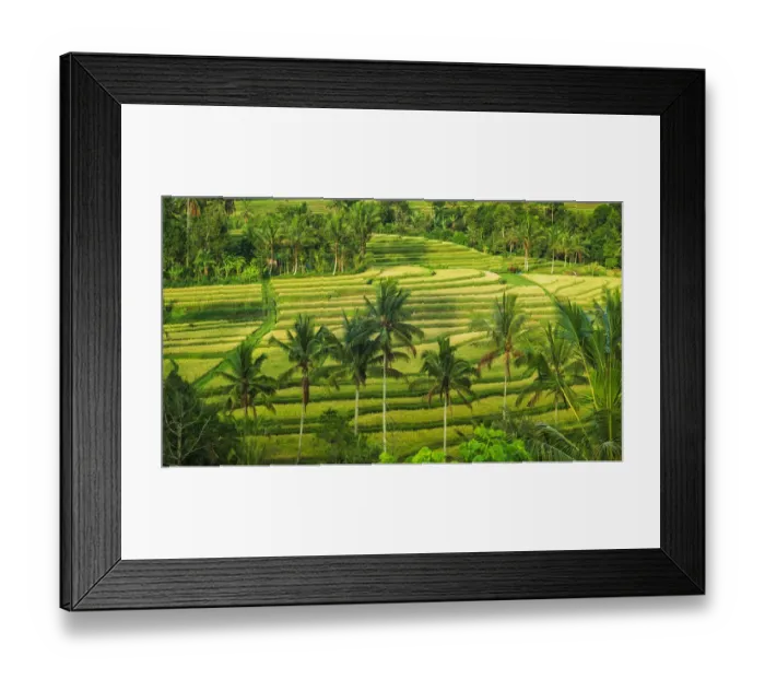Framed Print : Jatiluwih Rice Terrace (UNESCO World Heritage Site), Bali, Indonesia Framed Print : Jatiluwih Rice Terrace (UNESCO World Heritage Site), Bali, Indonesia