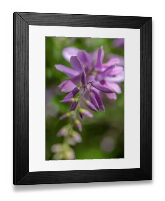 Framed Print : True Indigo Framed Print : True Indigo