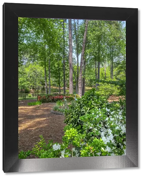 scenic garden, Pinehurst, North Carolina
