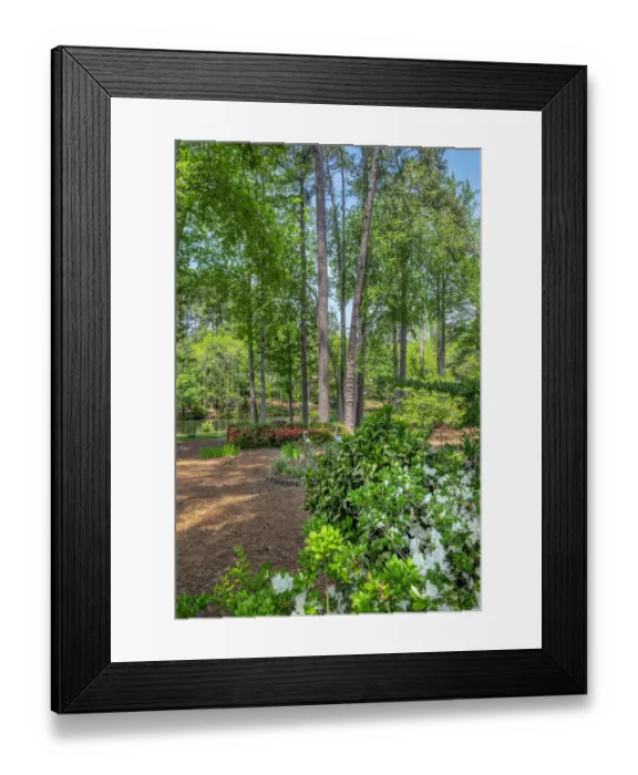 Framed Print : scenic garden, Pinehurst, North Carolina