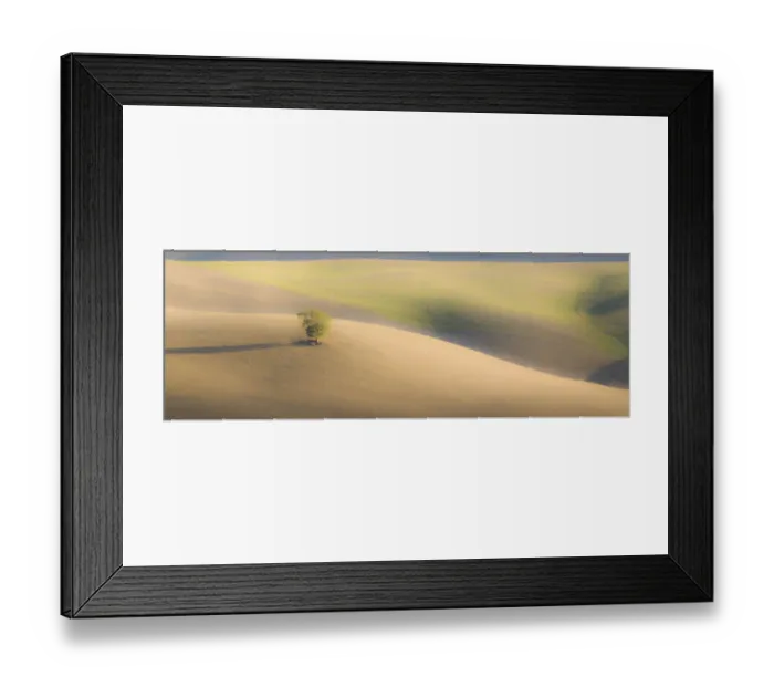 Framed Print : Italy, Tuscany. A lone tree in the Tuscan countryside Framed Print : Italy, Tuscany. A lone tree in the Tuscan countryside