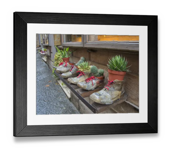 Framed Print : Italy, Tuscany. Shoe planters with plants decorating a shop along a street in a village Framed Print : Italy, Tuscany. Shoe planters with plants decorating a shop along a street in a village
