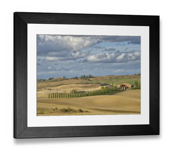 Framed Print : Italy, Tuscany. A tree lined entrance to a villa in the Tuscan countryside